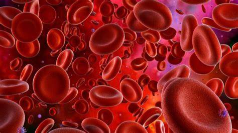 Globule Rouge